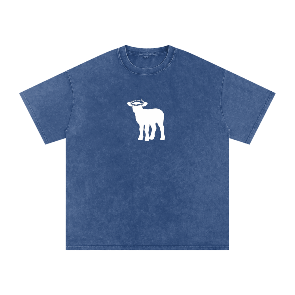 Snow Washed Oversized Cotton T-Shirt