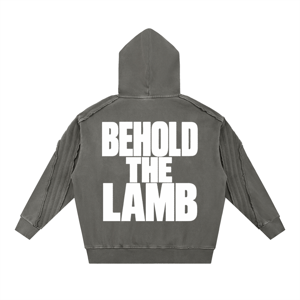 John 1:29 Hoodie