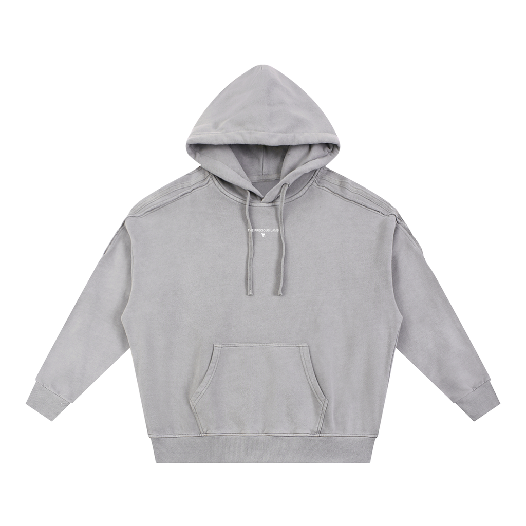 John 1:29 Hoodie