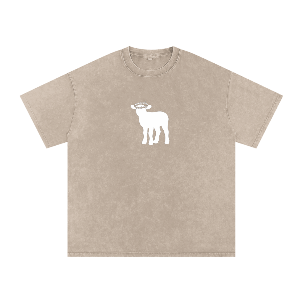 Snow Washed Oversized Cotton T-Shirt