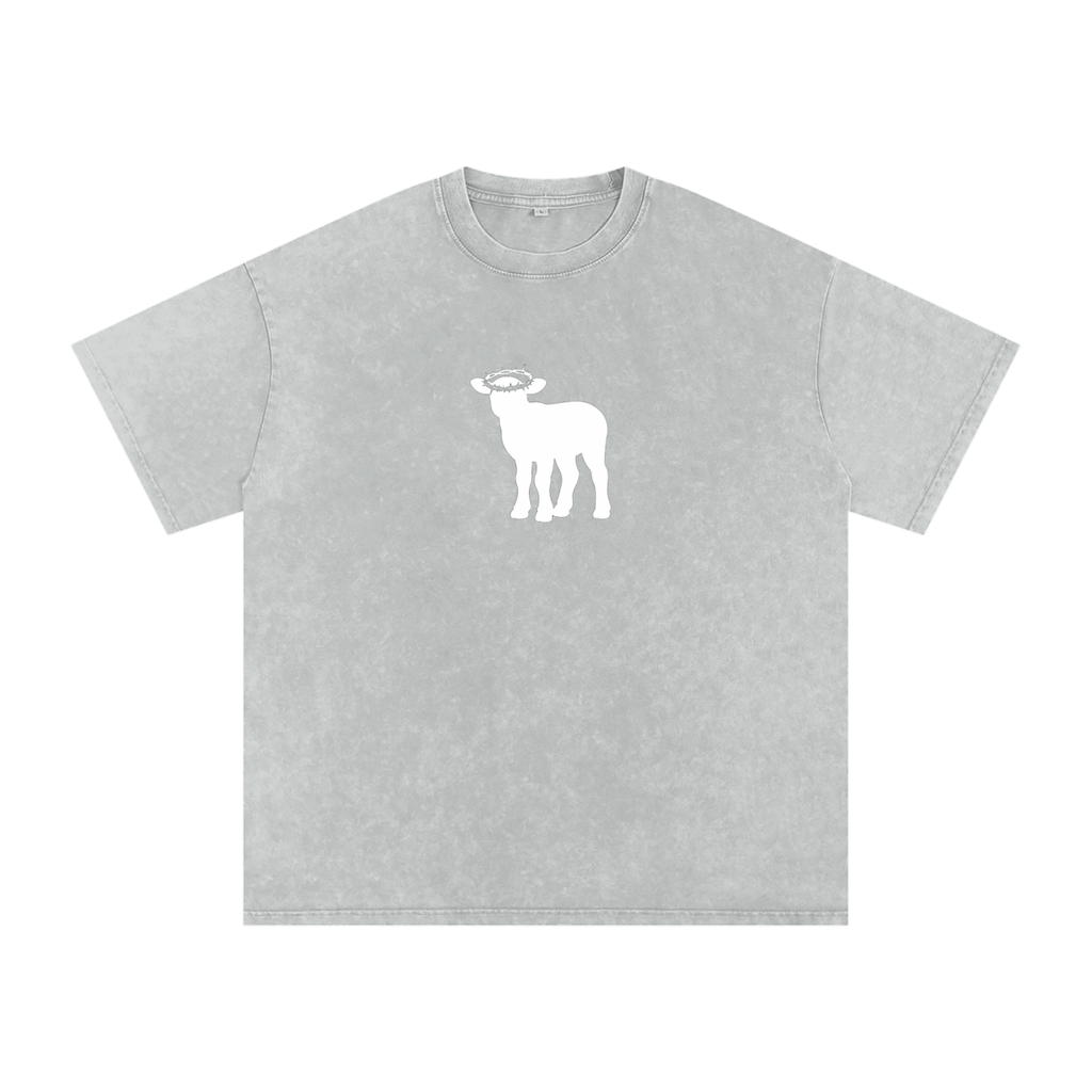 Snow Washed Oversized Cotton T-Shirt