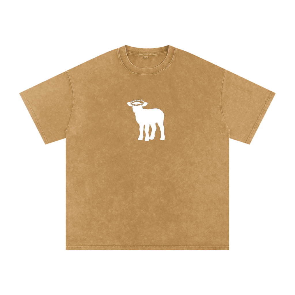 Snow Washed Oversized Cotton T-Shirt