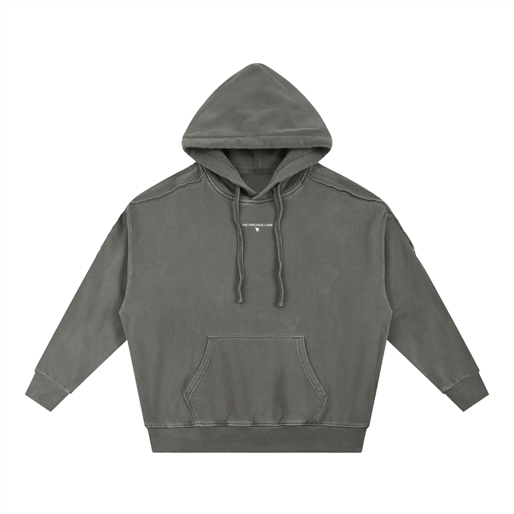John 1:29 Hoodie