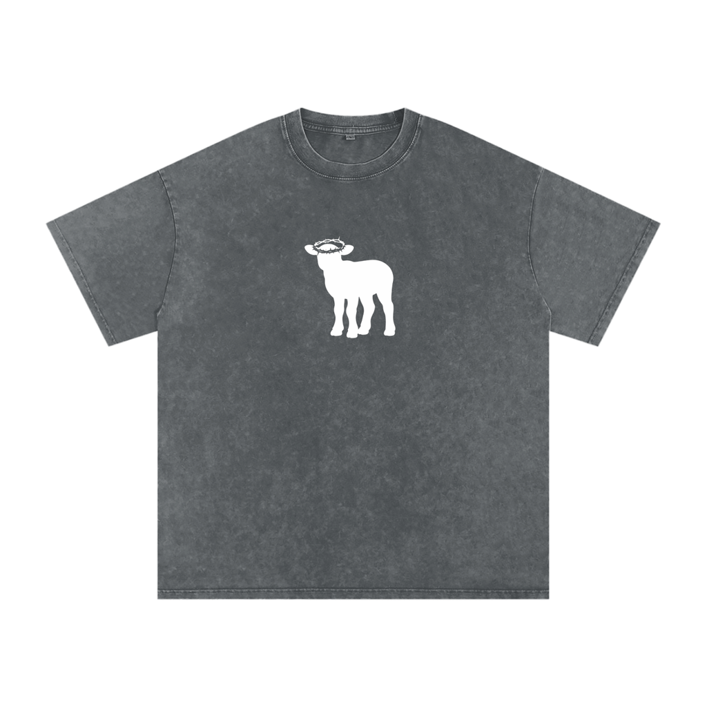 Snow Washed Oversized Cotton T-Shirt