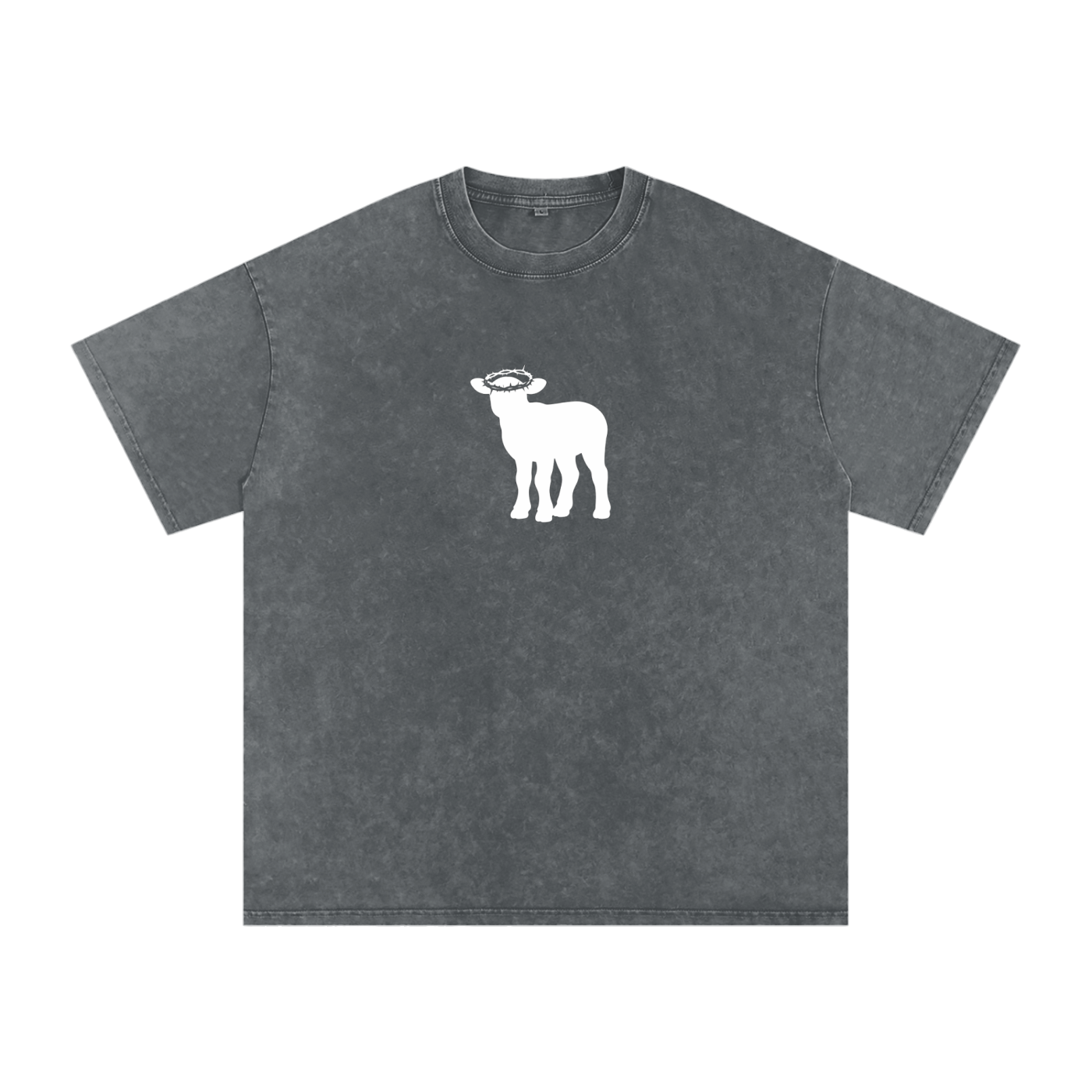 Snow Washed Oversized Cotton T-Shirt
