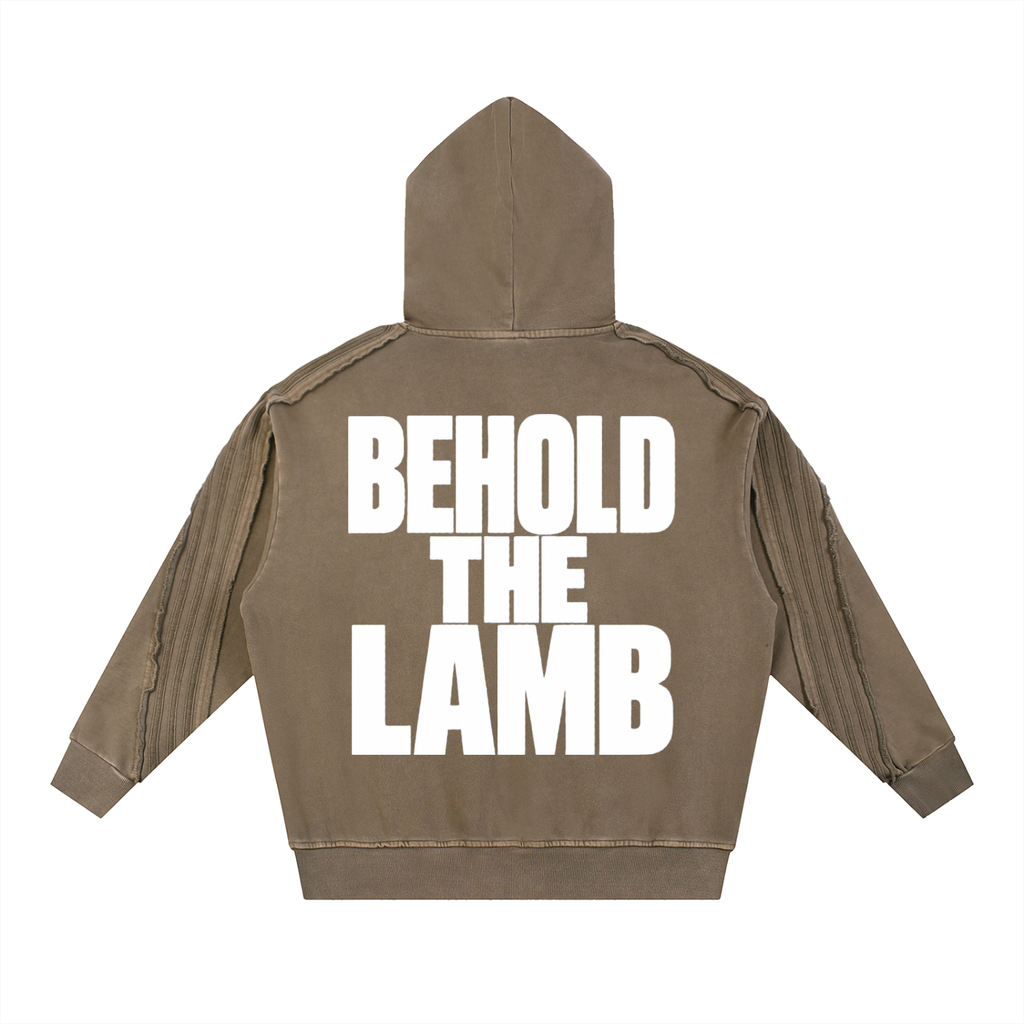 John 1:29 Hoodie
