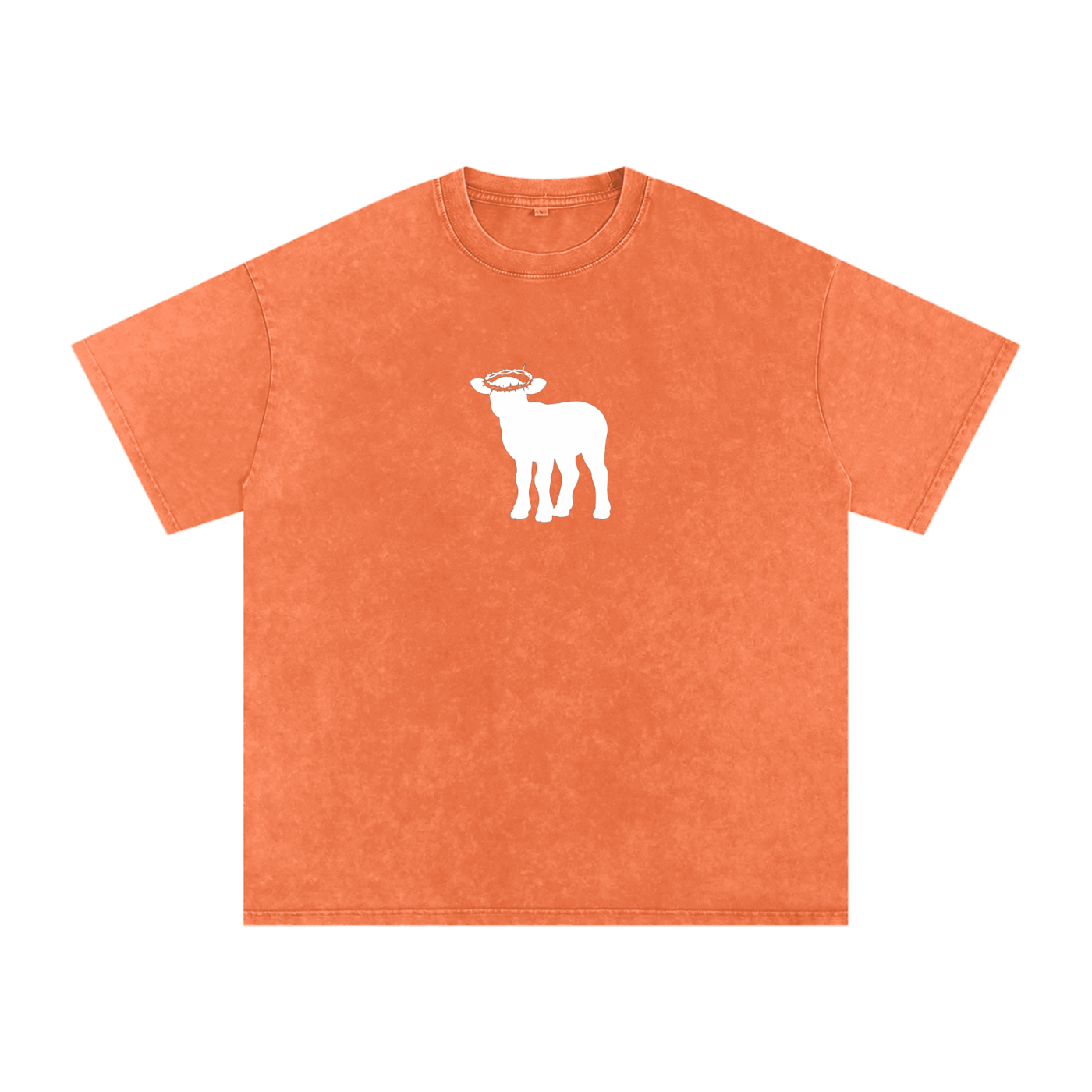 Snow Washed Oversized Cotton T-Shirt