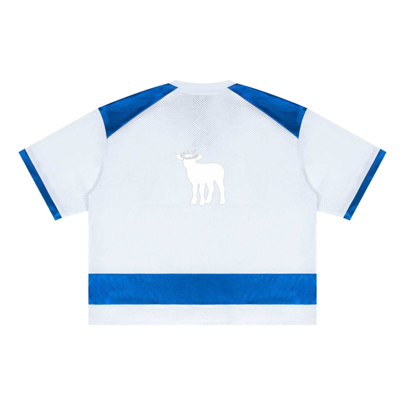 Unisex Raglan Sleeve Mesh Boxy T-Shirt
