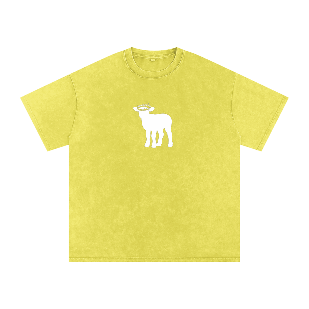 Snow Washed Oversized Cotton T-Shirt