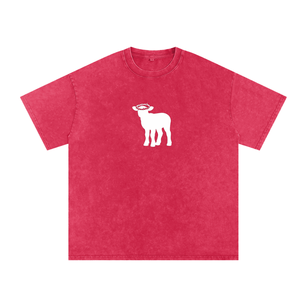 Snow Washed Oversized Cotton T-Shirt