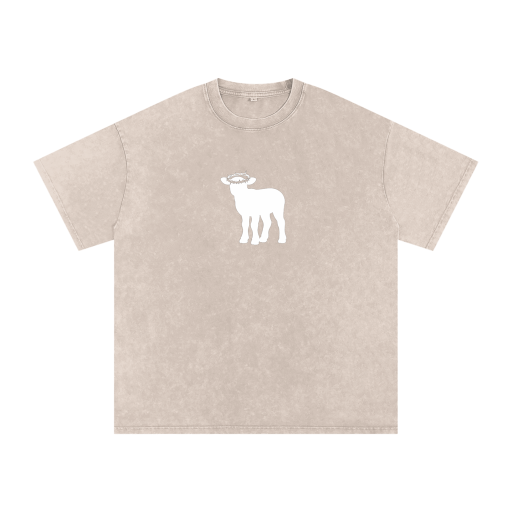 Snow Washed Oversized Cotton T-Shirt