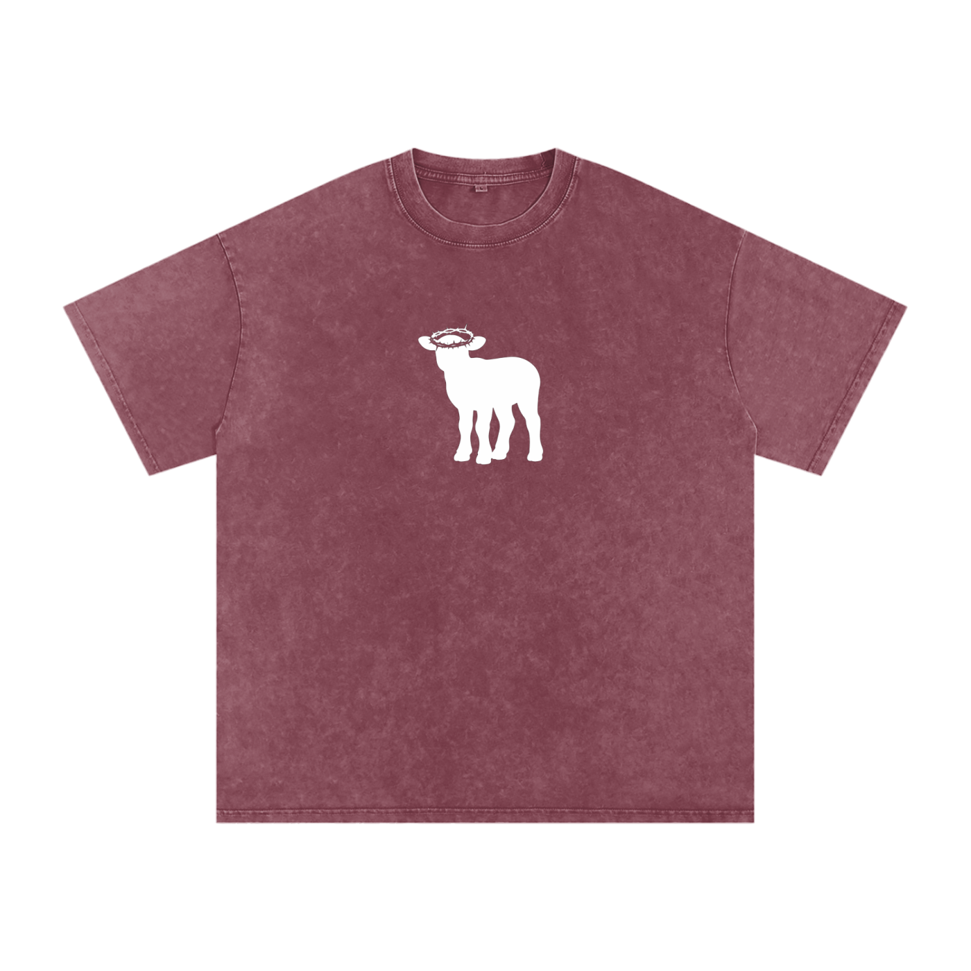 Snow Washed Oversized Cotton T-Shirt
