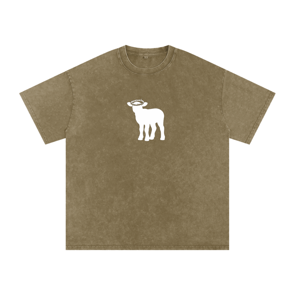 Snow Washed Oversized Cotton T-Shirt