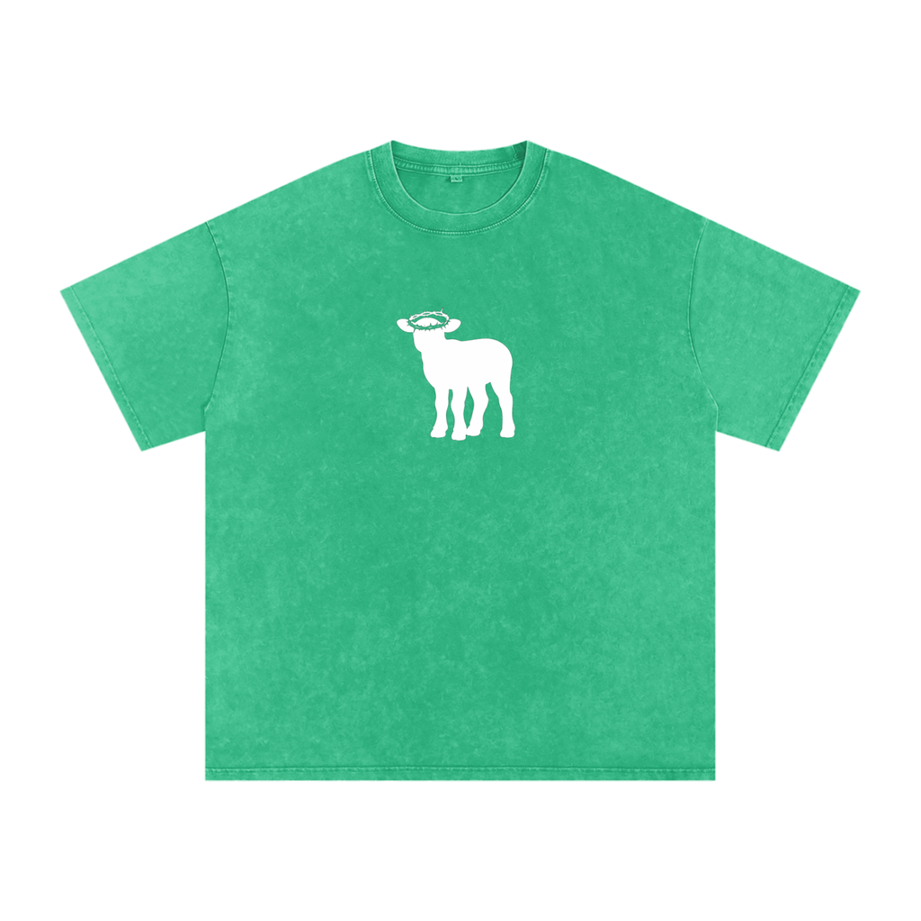 Snow Washed Oversized Cotton T-Shirt