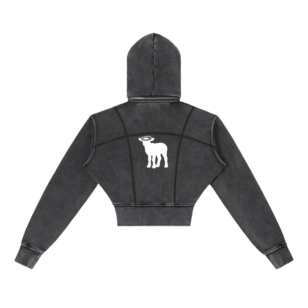 Vintage Washed Cropped Fleece Hoodie