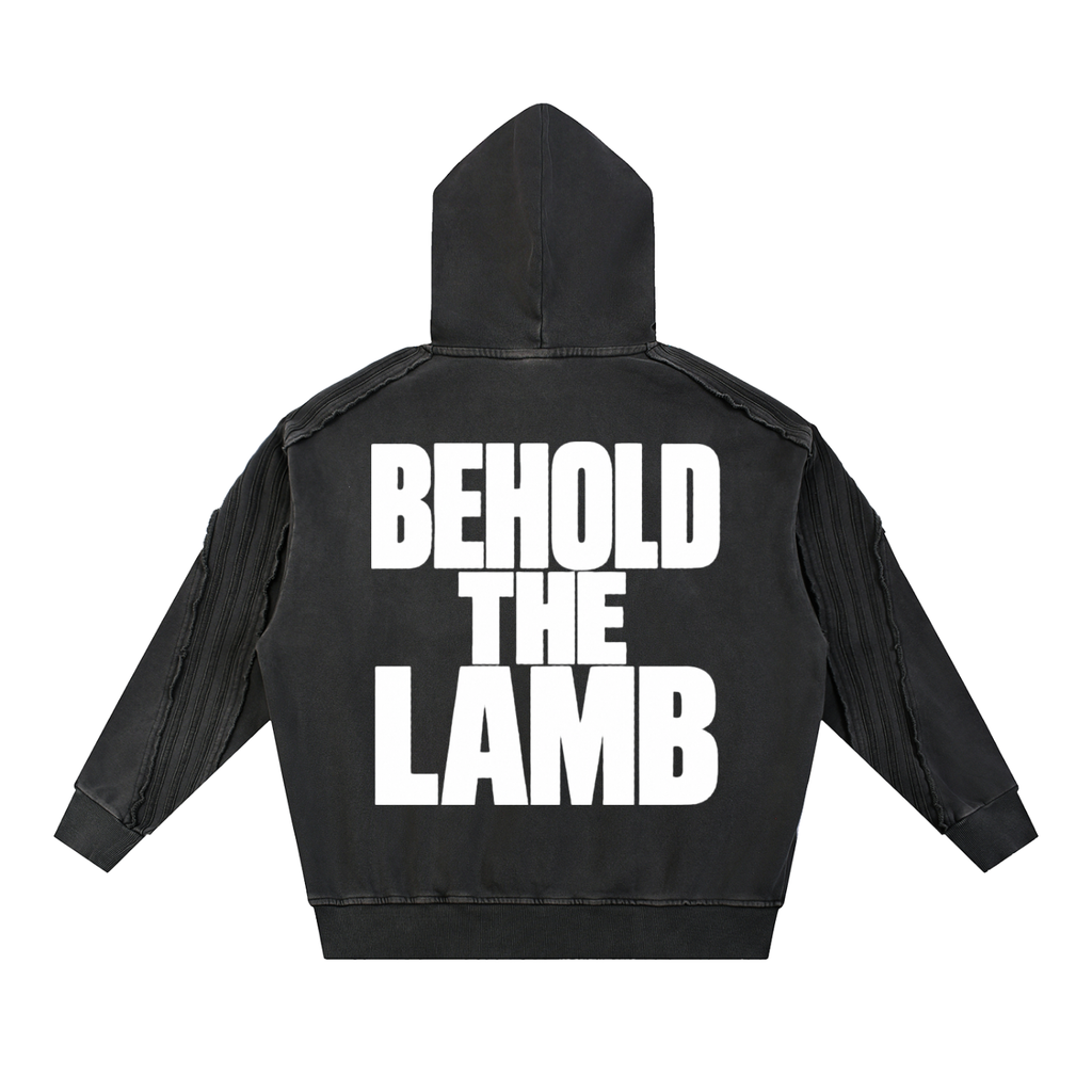 John 1:29 Hoodie