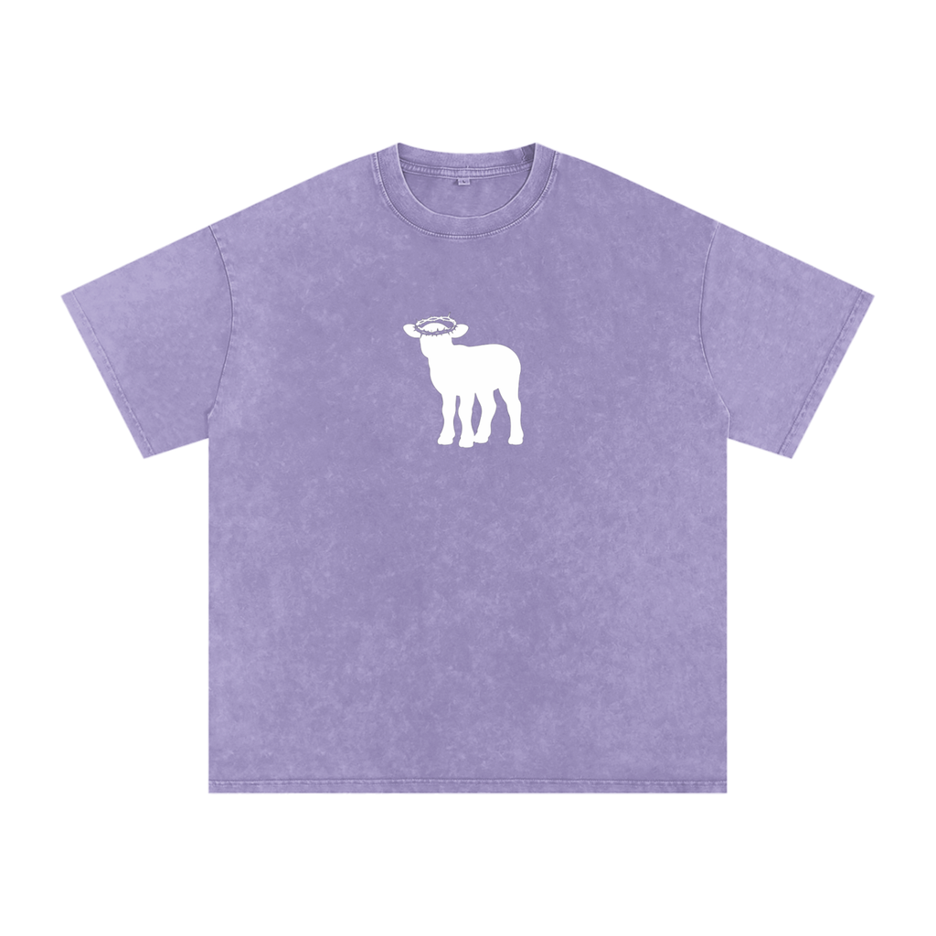 Snow Washed Oversized Cotton T-Shirt