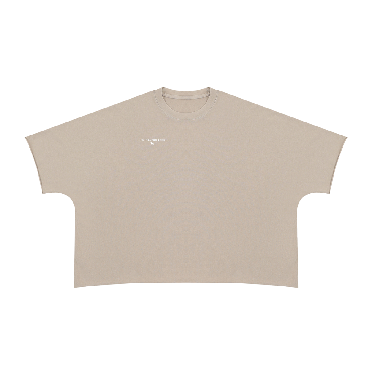Pray More Talk Less Unisex Heavyweight Boxy Raw Edge T-Shirt