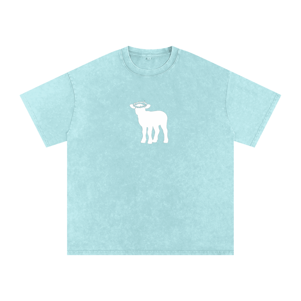 Snow Washed Oversized Cotton T-Shirt